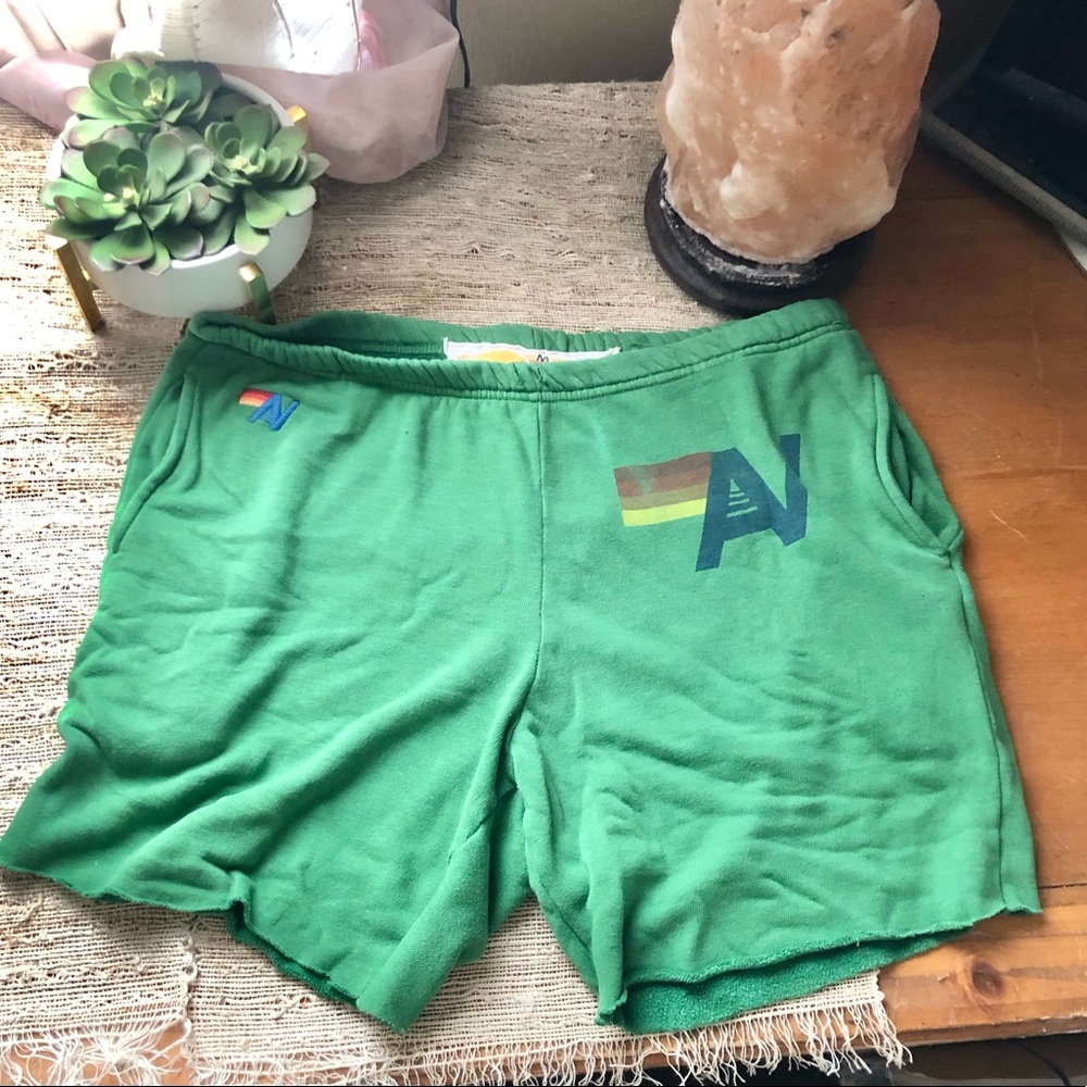 Aviator Nation • Logo Men’s Shorts in Green